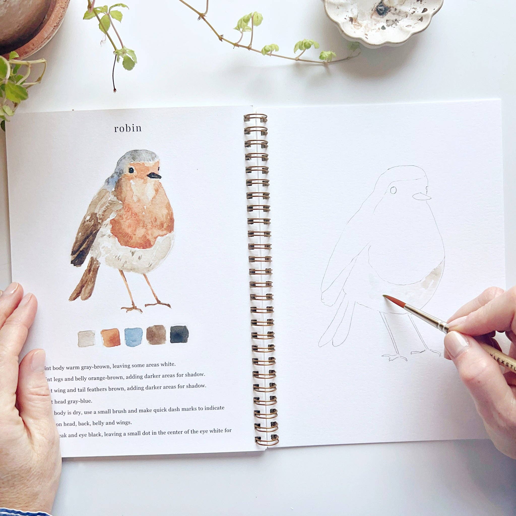 Birds Watercolor Workbook - DIGS