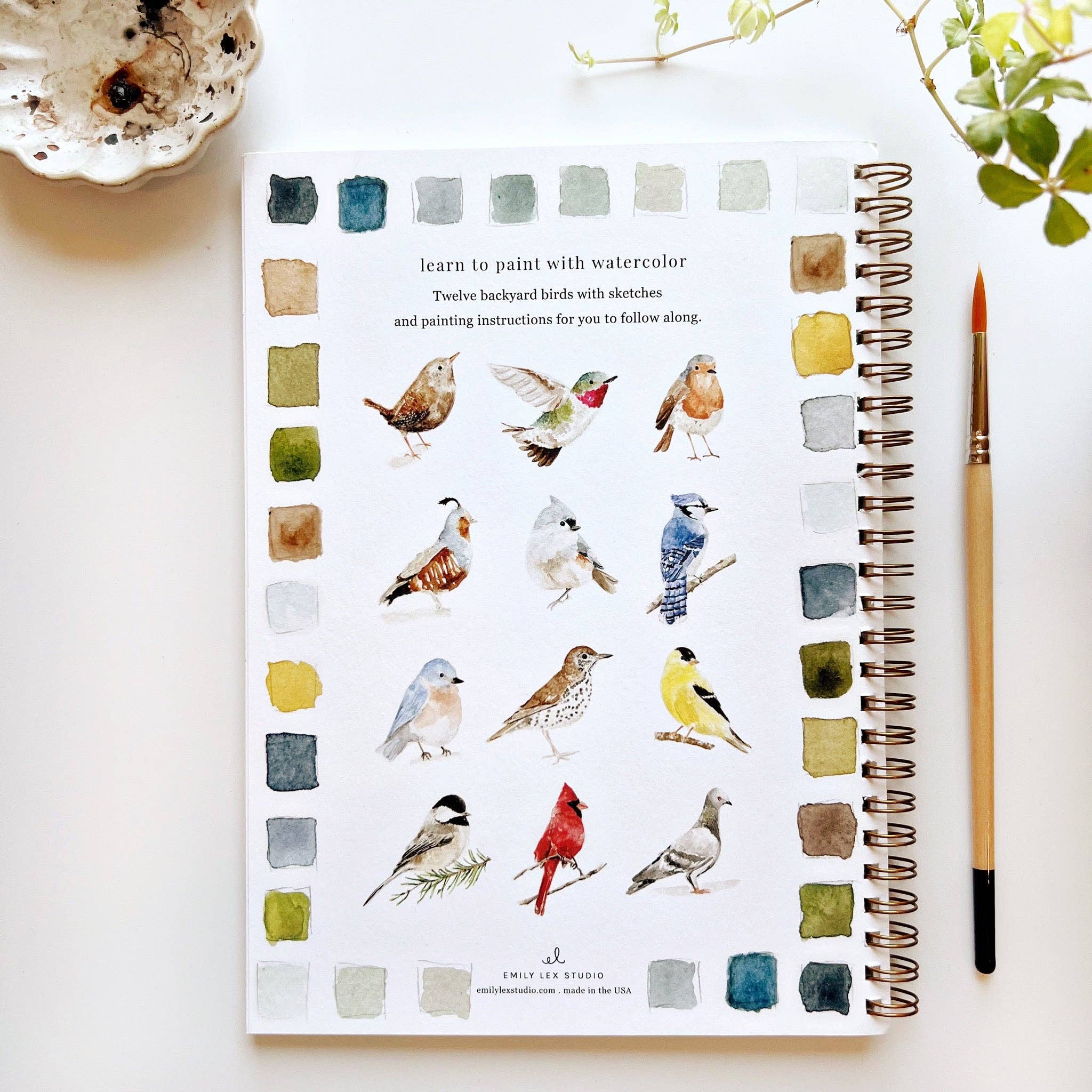 Birds Watercolor Workbook - DIGS