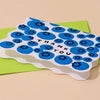 Blueberry Thank You Card Set - DIGS