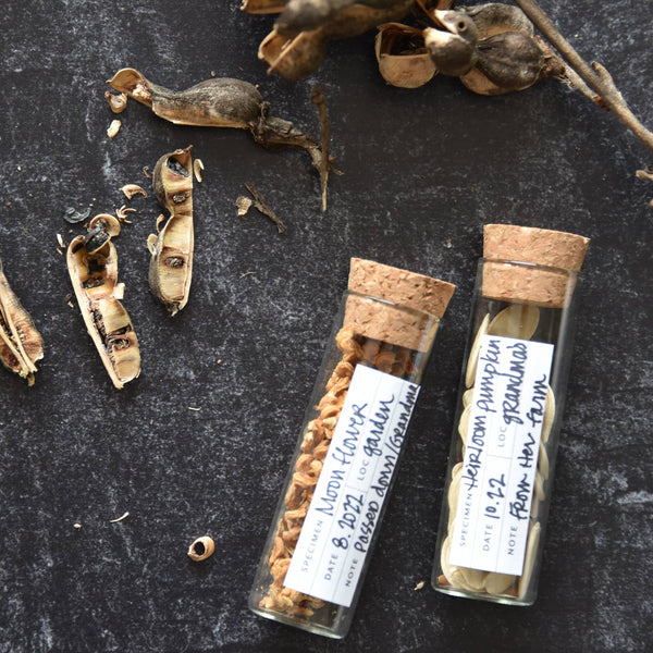 Botanical Specimen Labels, Set/36 - DIGS