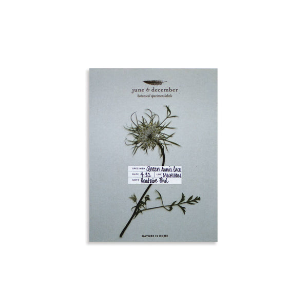 Botanical Specimen Labels, Set/36 - DIGS