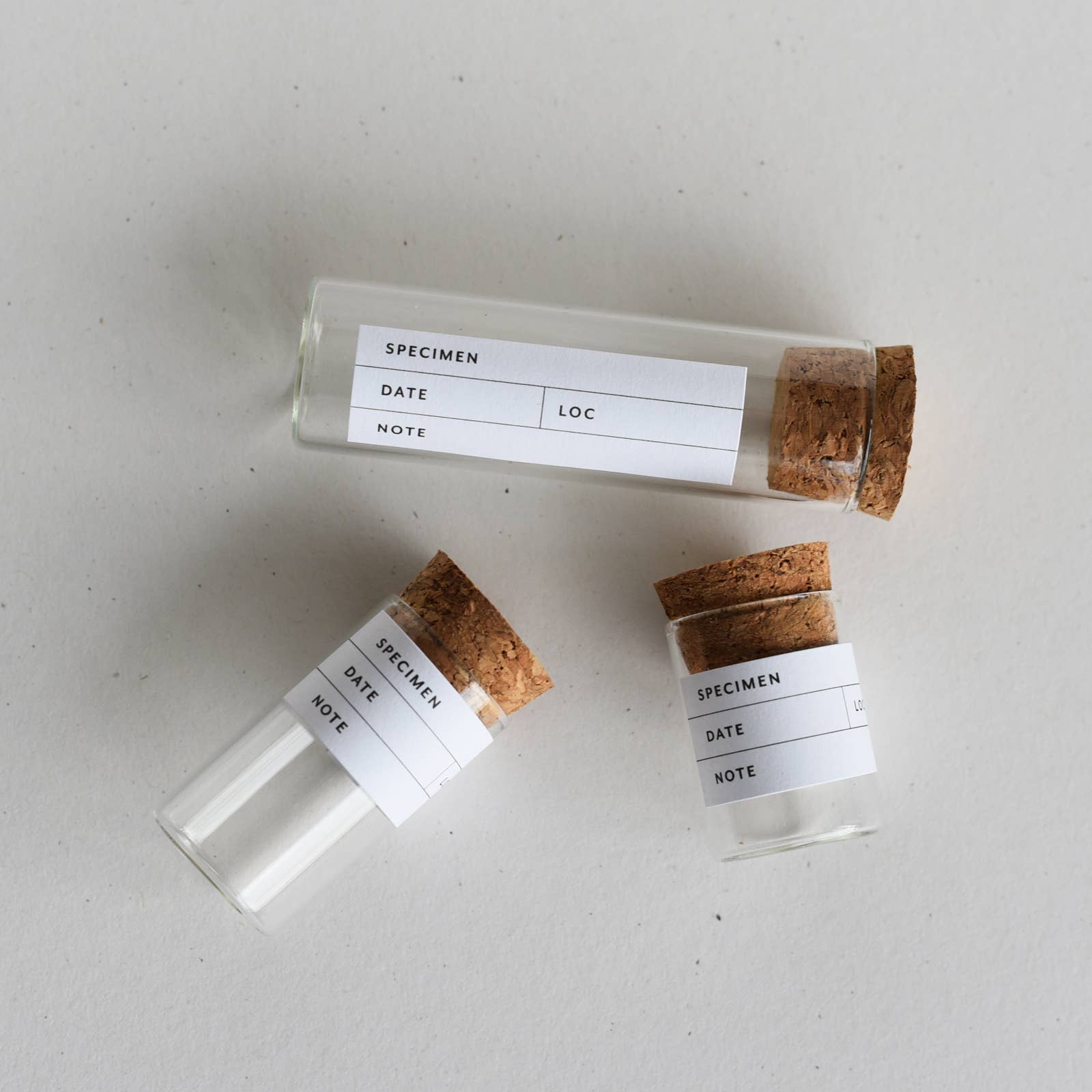 Botanical Specimen Labels, Set/36 - DIGS
