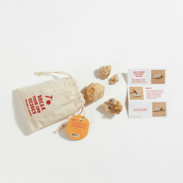 Break Your Own Geodes Bag - DIGS