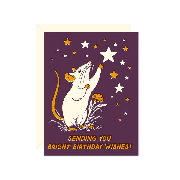 Bright Wishes Birthday Card - DIGS