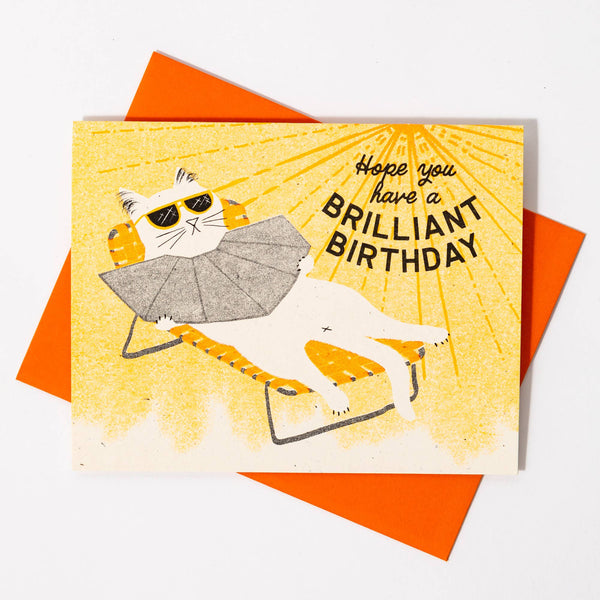 Brilliant Birthday Card - DIGS