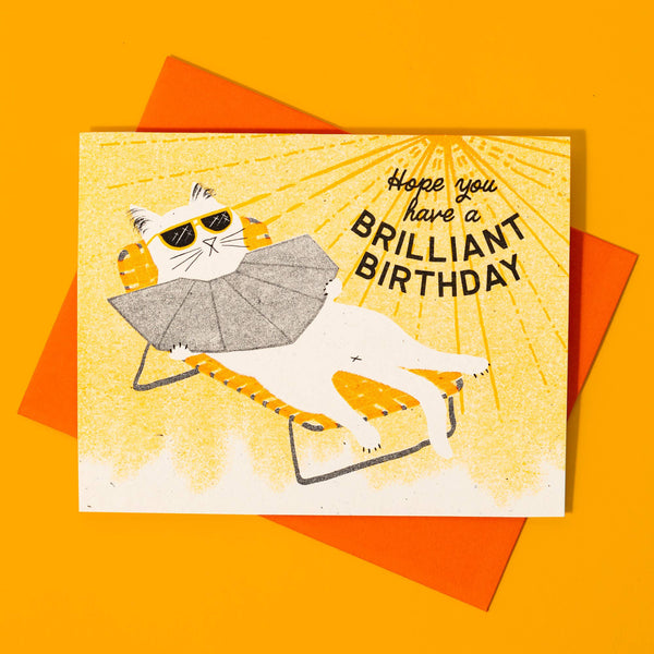 Brilliant Birthday Card - DIGS