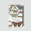 Butterfly + Moth Mini Spiral Notepad - DIGS