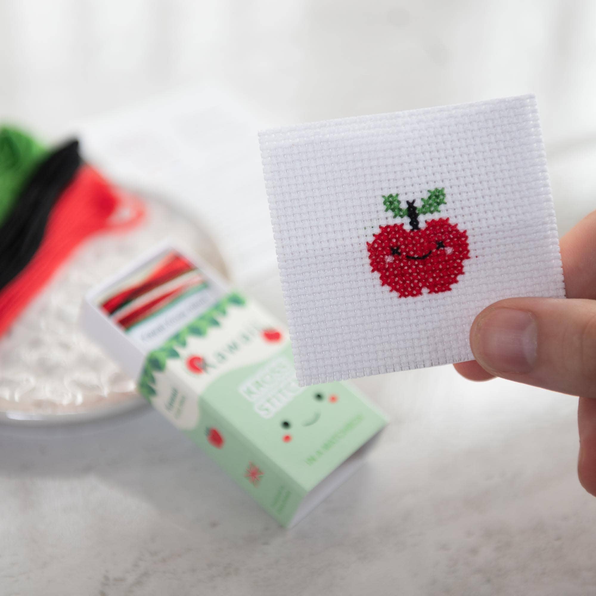 Mini Apple Cross Stitch Kit