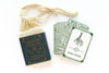 Cabinet of Curiosities Oracle Deck - DIGS