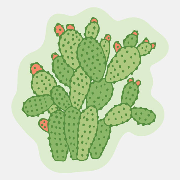 Cactus Sticker - DIGS