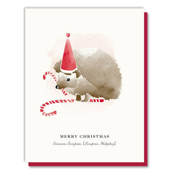 Candy Cane Hedgehog Card - DIGS