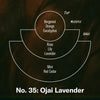 Car Fragrance: Ojai Lavender - DIGS