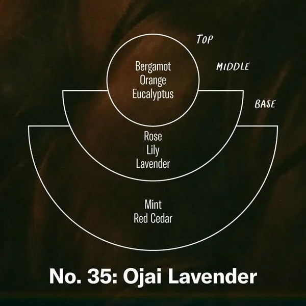 Car Fragrance: Ojai Lavender - DIGS