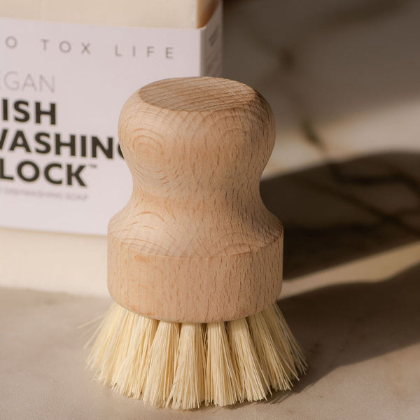 Casa Agave™ Dishwashing and Vegetable Hand Brush - DIGS