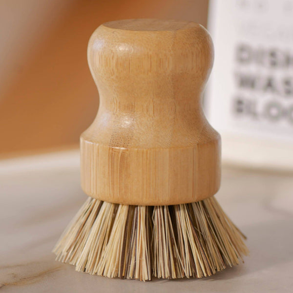 Casa Agave Pot Scrubber - DIGS