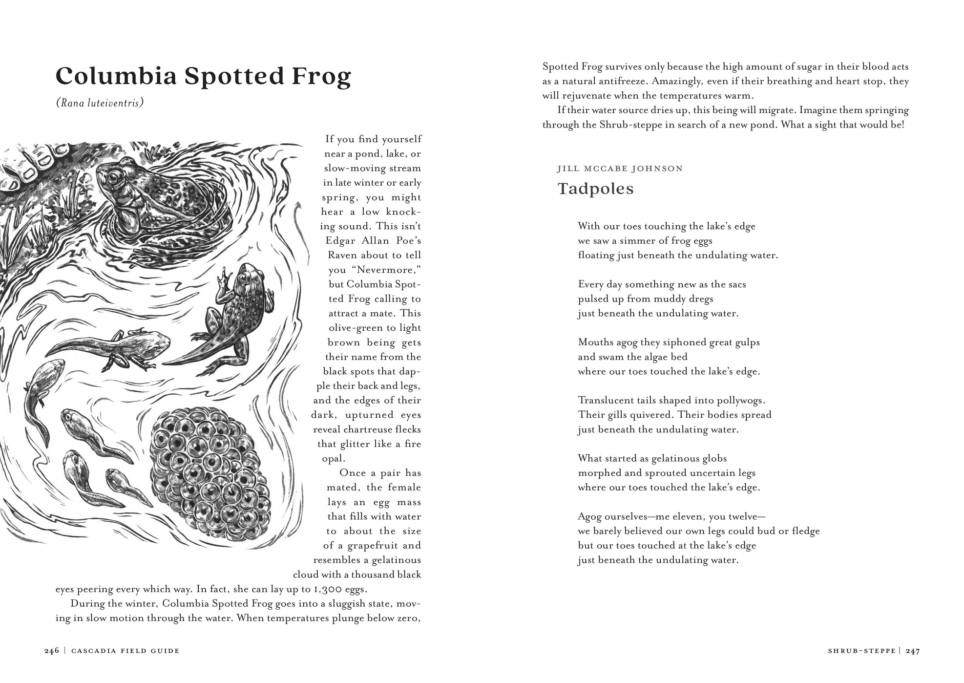 Cascadia Field Guide: Art, Ecology, Poetry - DIGS