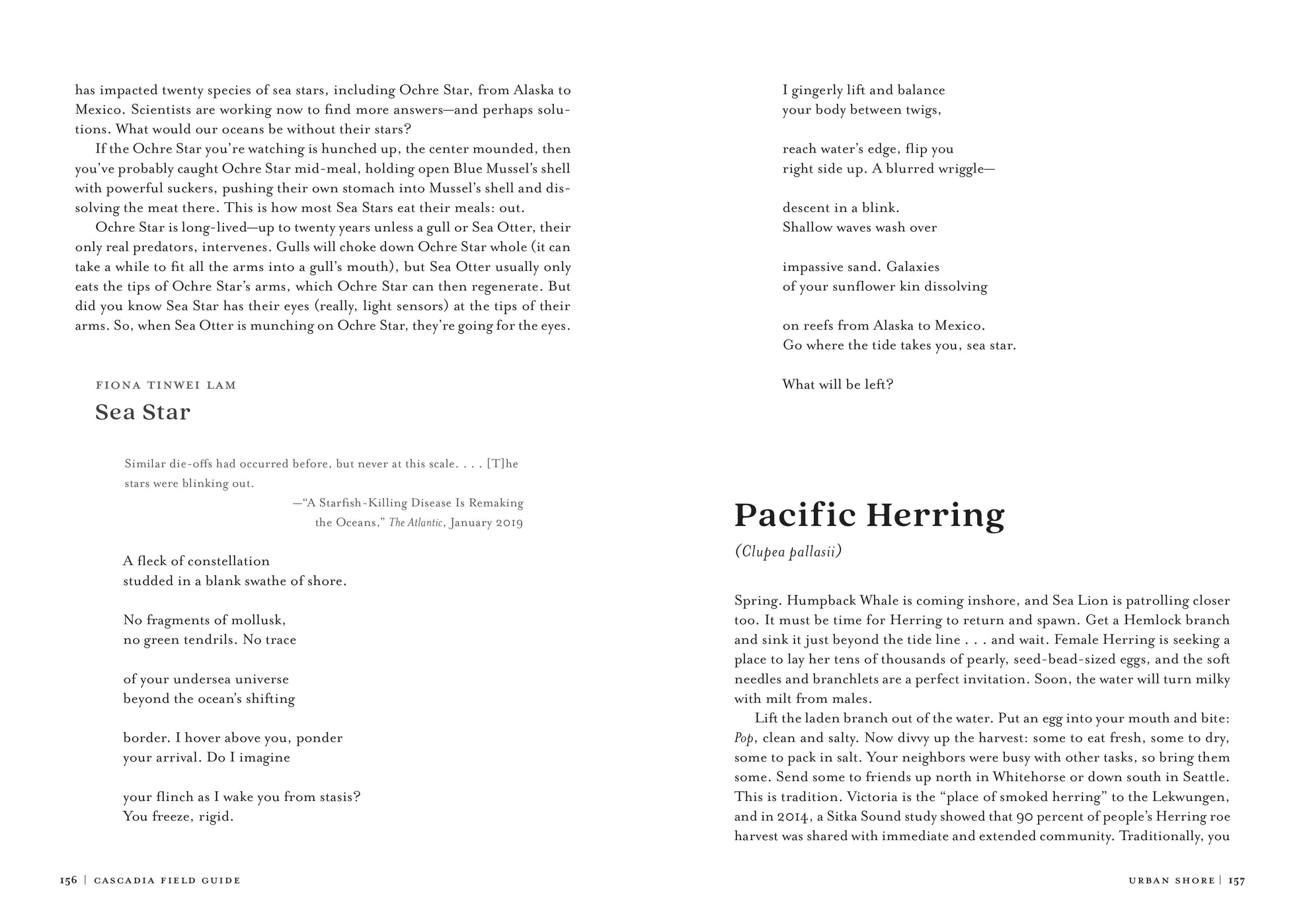 Cascadia Field Guide: Art, Ecology, Poetry - DIGS