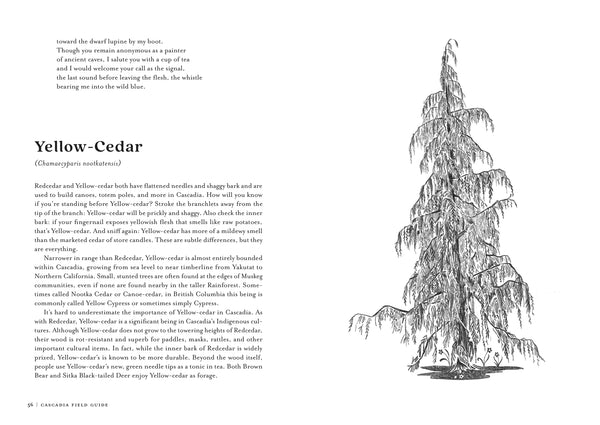 Cascadia Field Guide: Art, Ecology, Poetry
