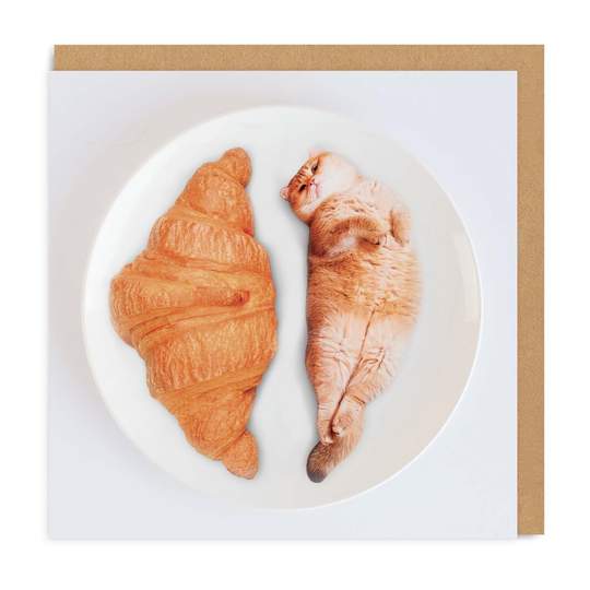 Cat Croissant Card - DIGS