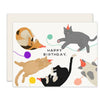 Cat Lover Birthday Card - DIGS