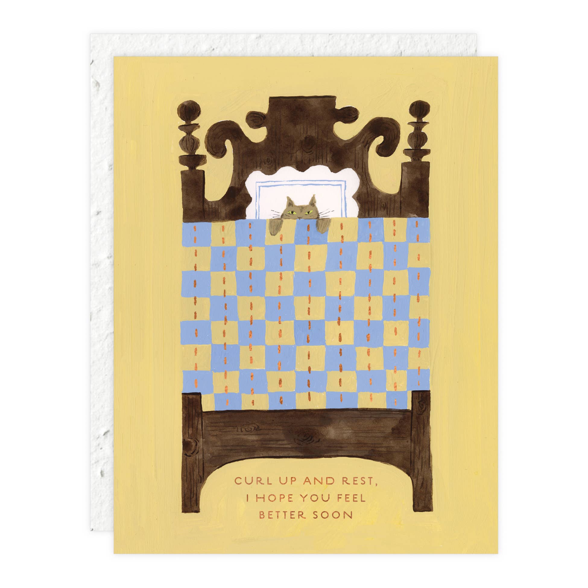 Cat Nap Get Well Card - DIGS