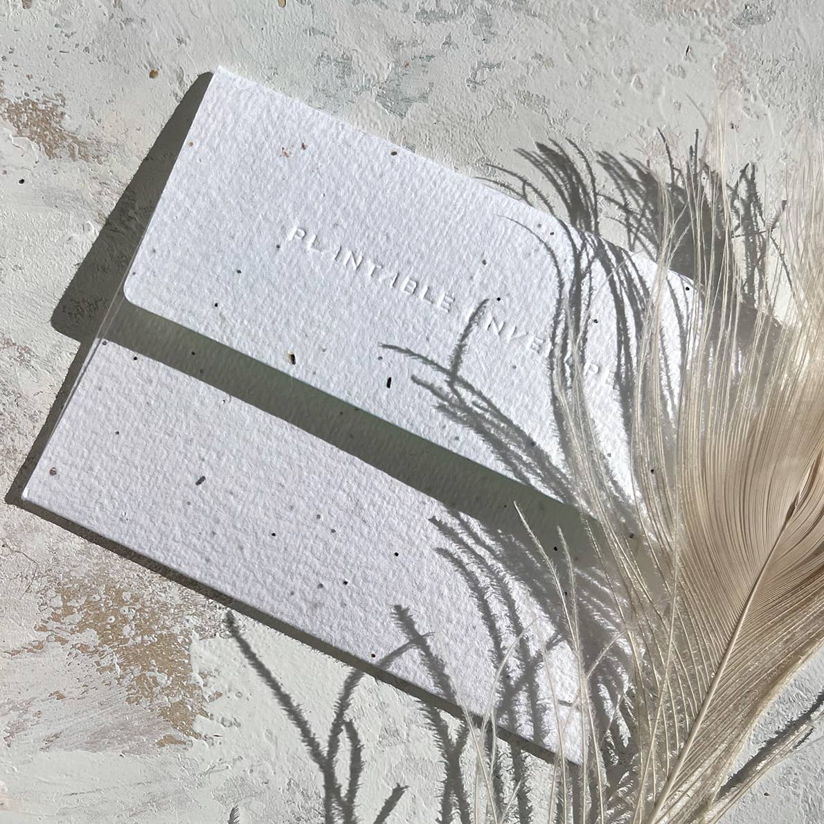 Cat Nap Get Well Card - DIGS