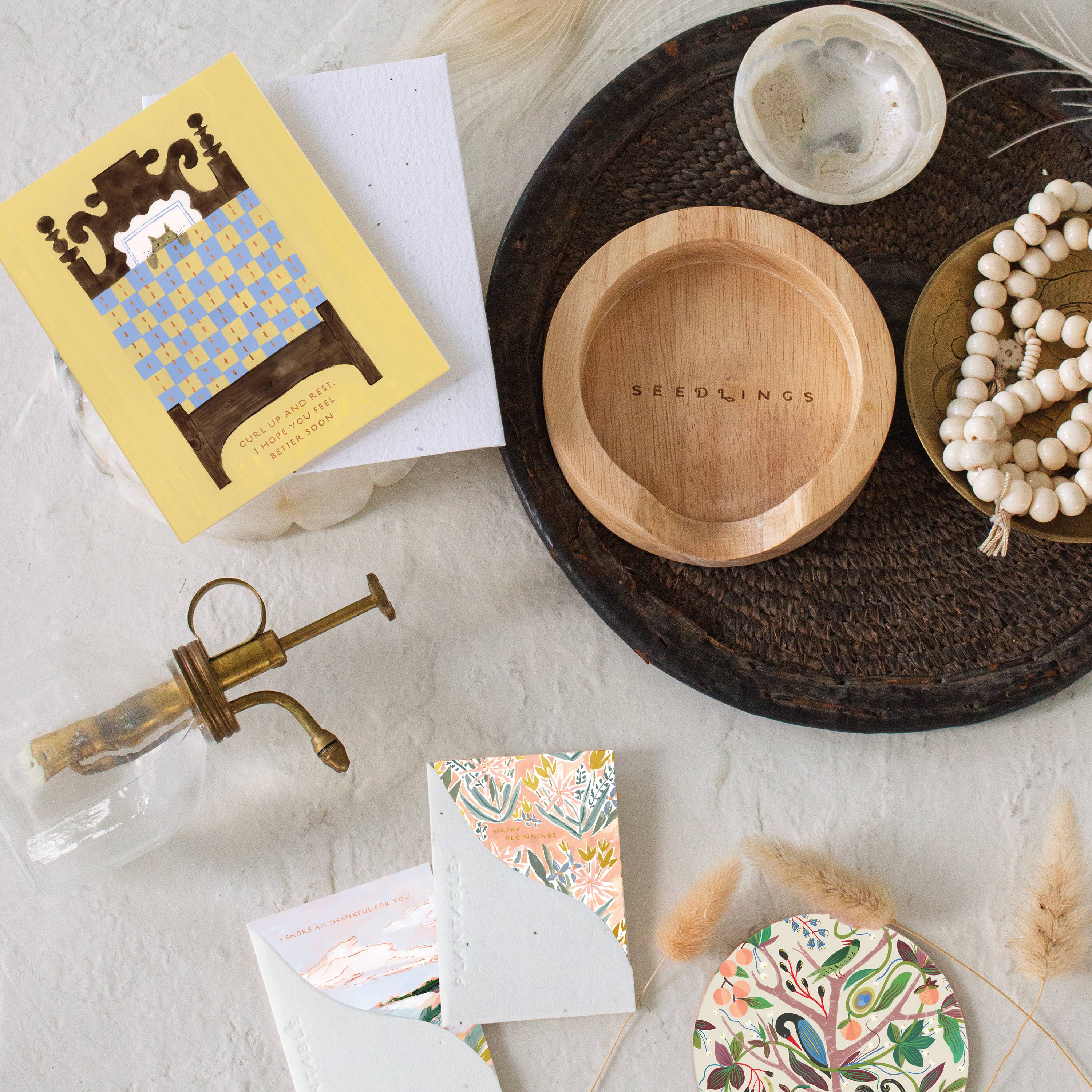 Cat Nap Get Well Card - DIGS