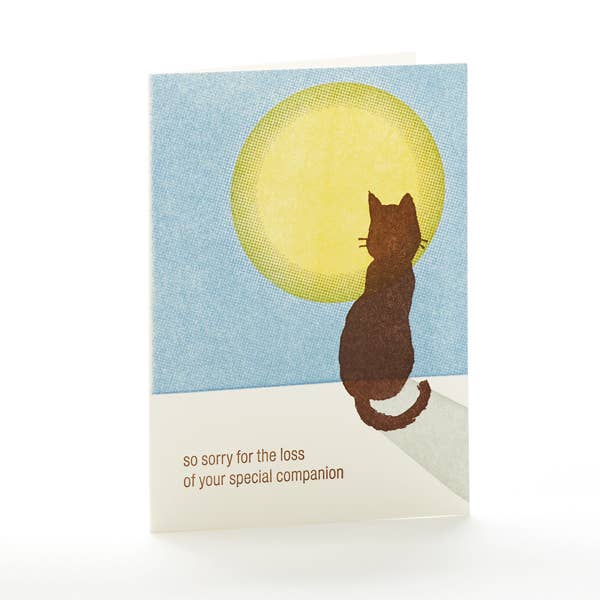 Cat Sympathy Card - DIGS