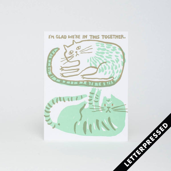 Cats in This Together Card - DIGS