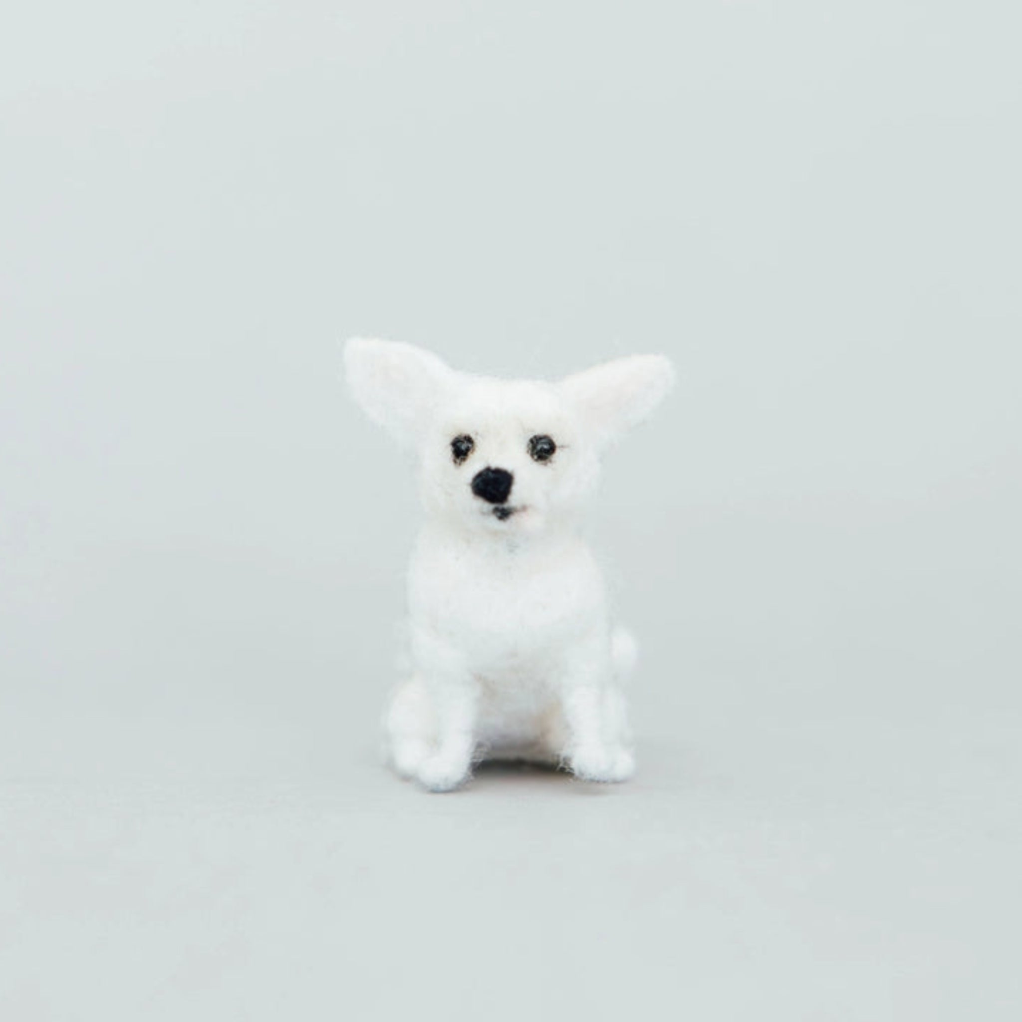 Chihuahua Needle-Felting Kit - DIGS