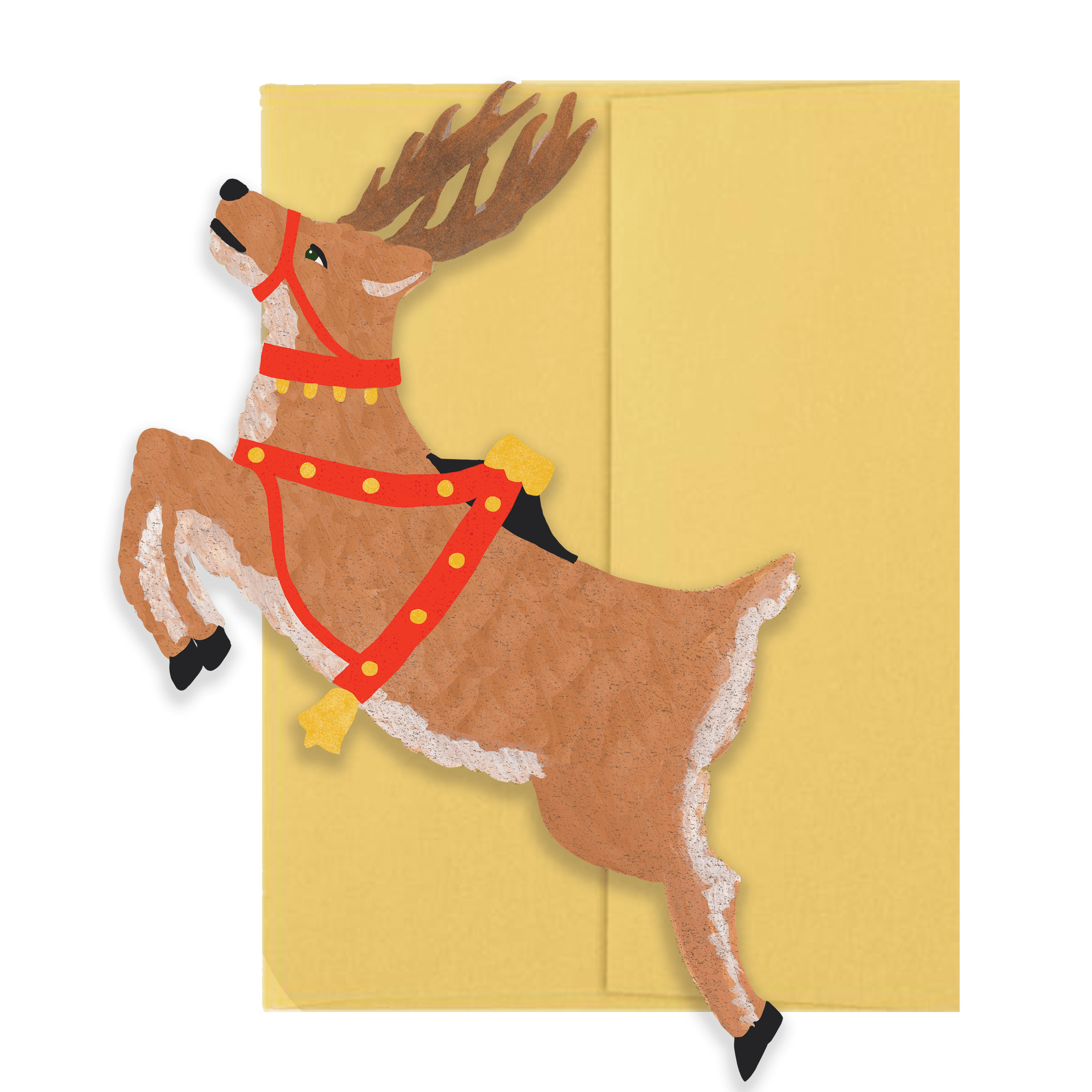 Christmas Collection Box Set - DIGS