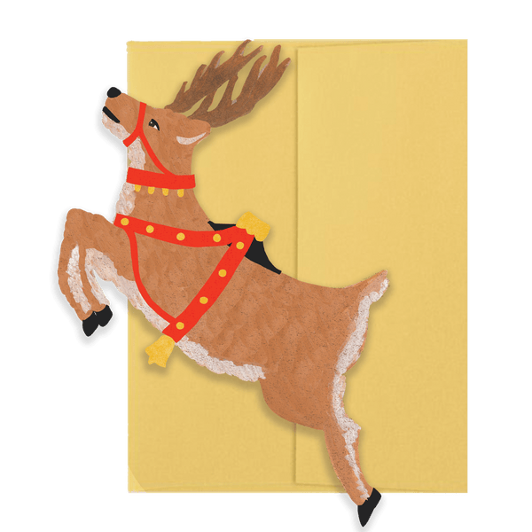 Christmas Collection Box Set - DIGS