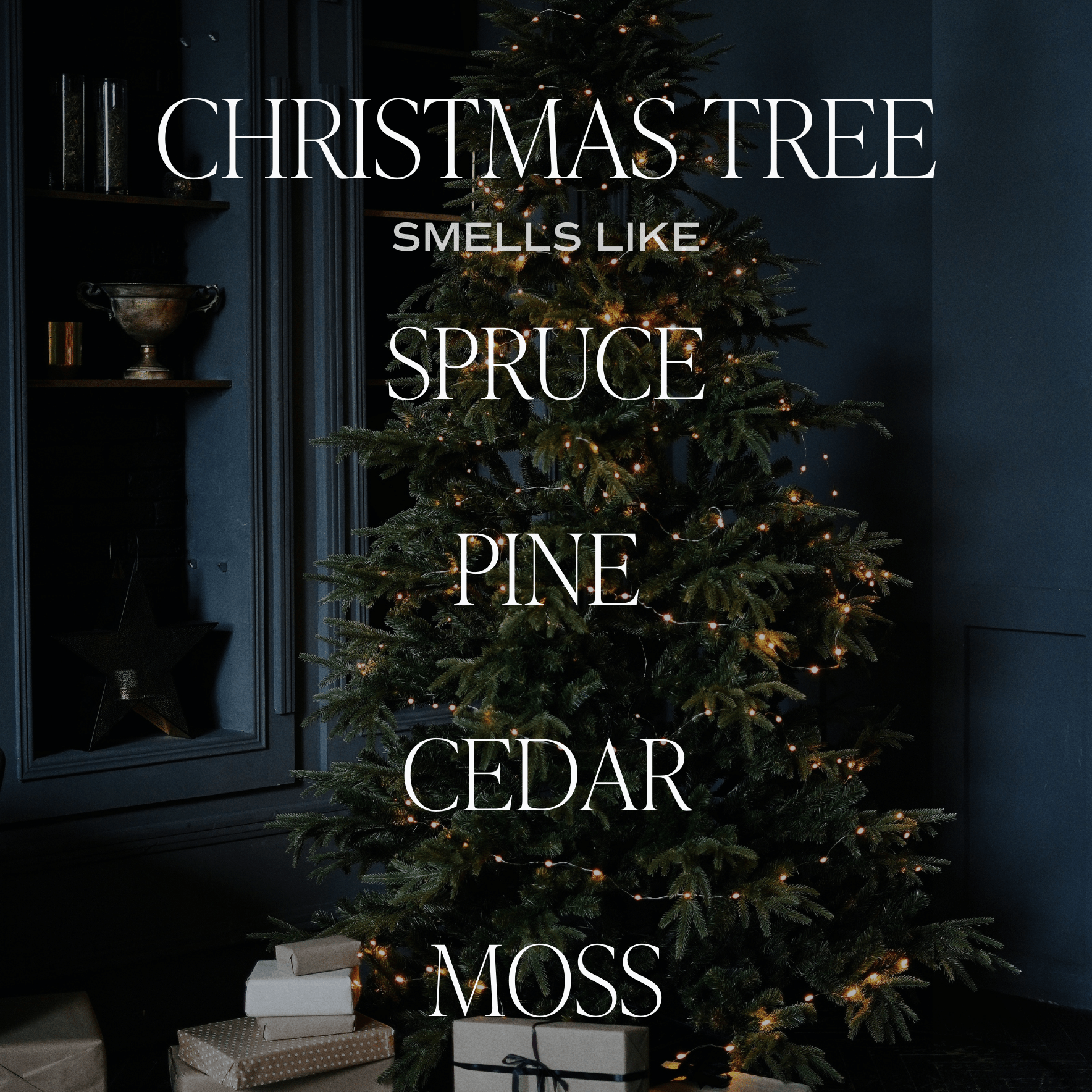 Christmas Tree Reed Diffuser - DIGS