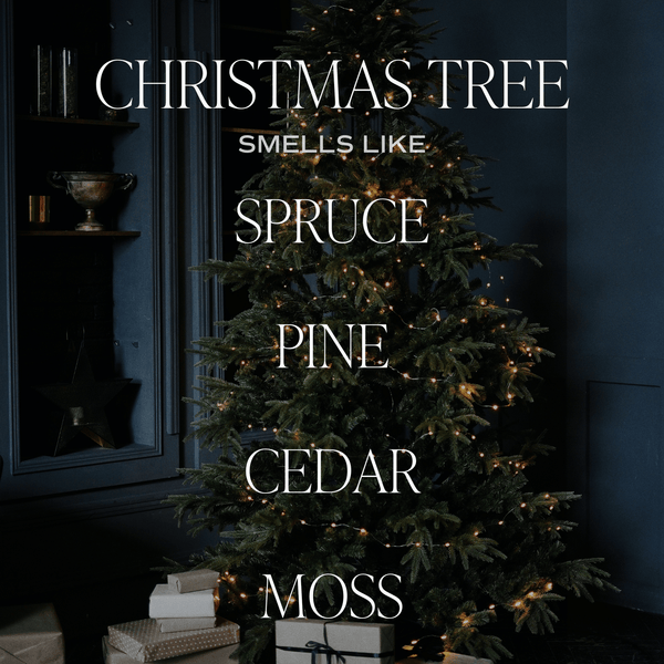 Christmas Tree Reed Diffuser - DIGS