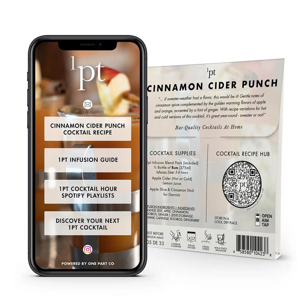 Cinnamon Cider Punch Cocktail Infusion Pack - DIGS