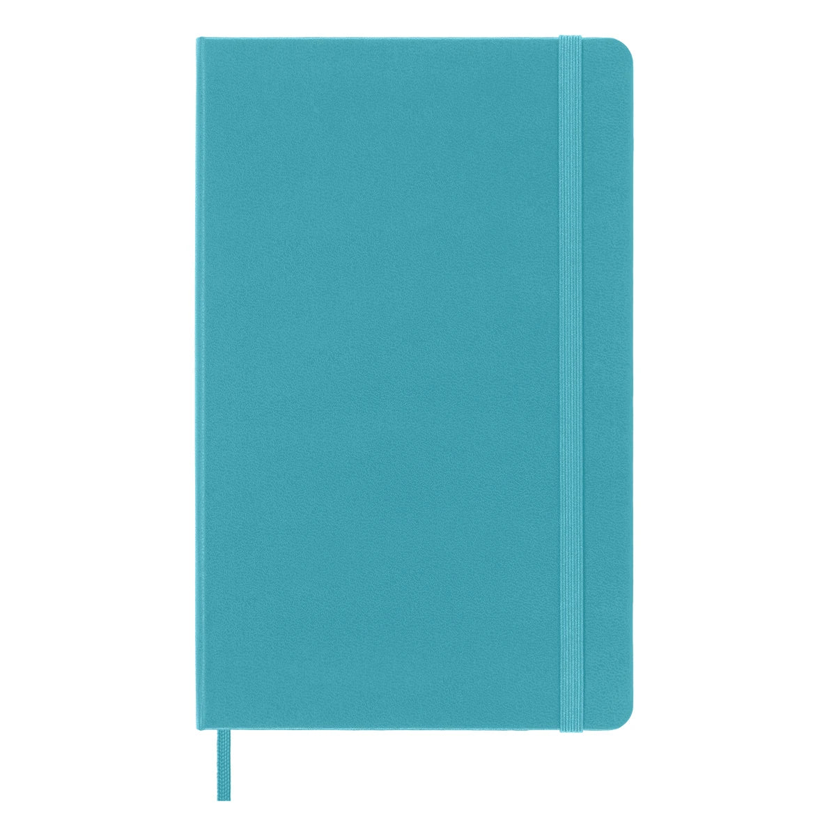 Classic Hardcover Plain Notebook: Large - DIGS