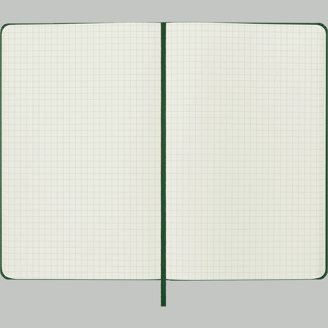 Classic Hardcover Squared Notebook: Large - DIGS