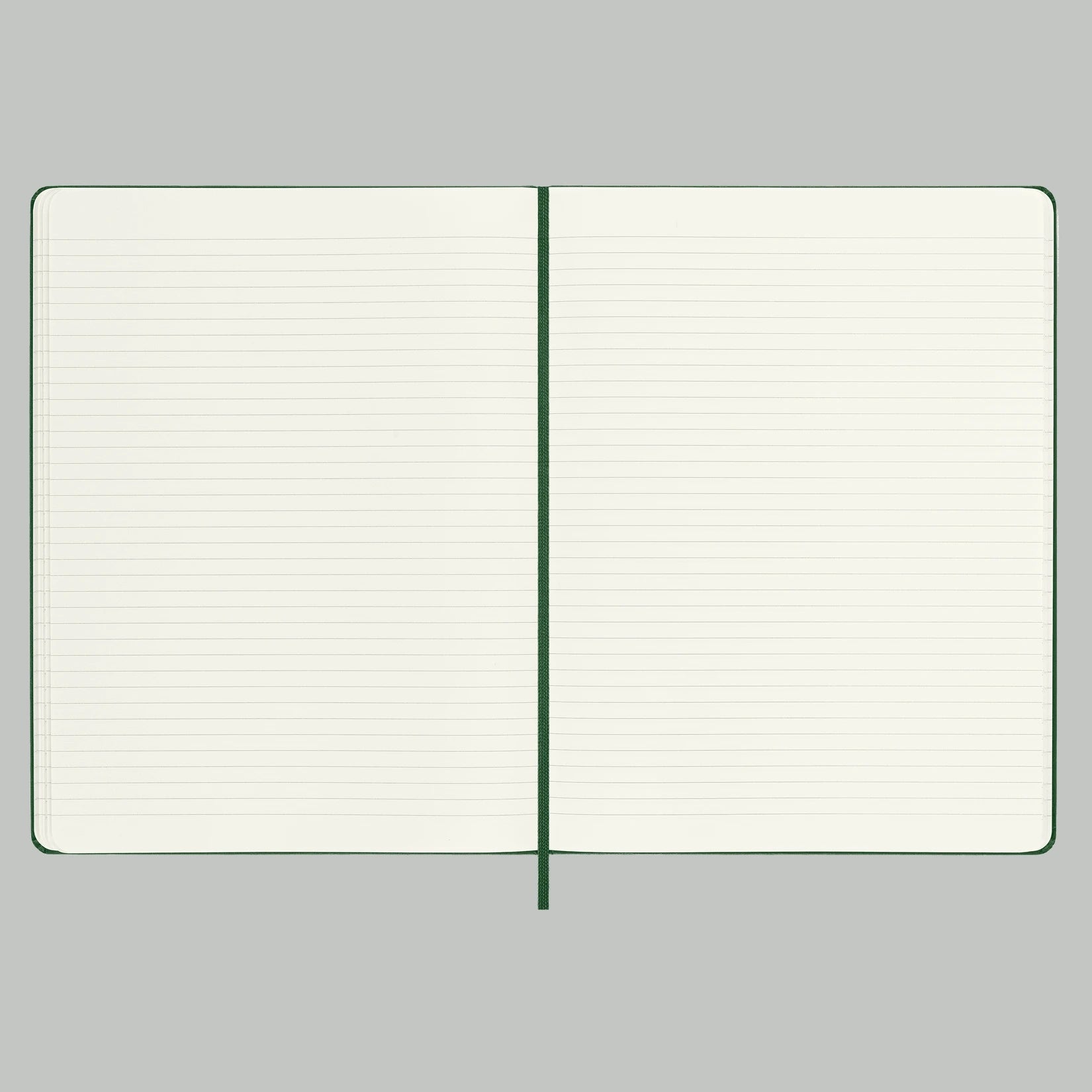 Classic Ruled Soft Cover Notebook: XL - DIGS