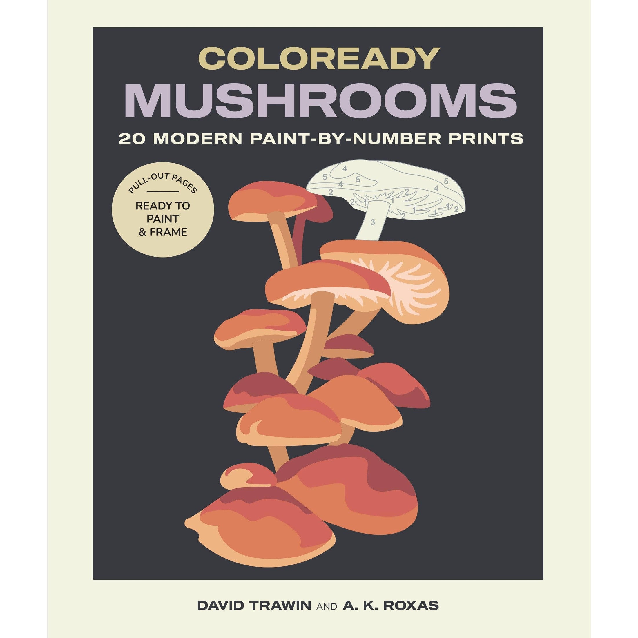 Coloready Mushrooms: 20 Paint - By - Number Images - DIGS