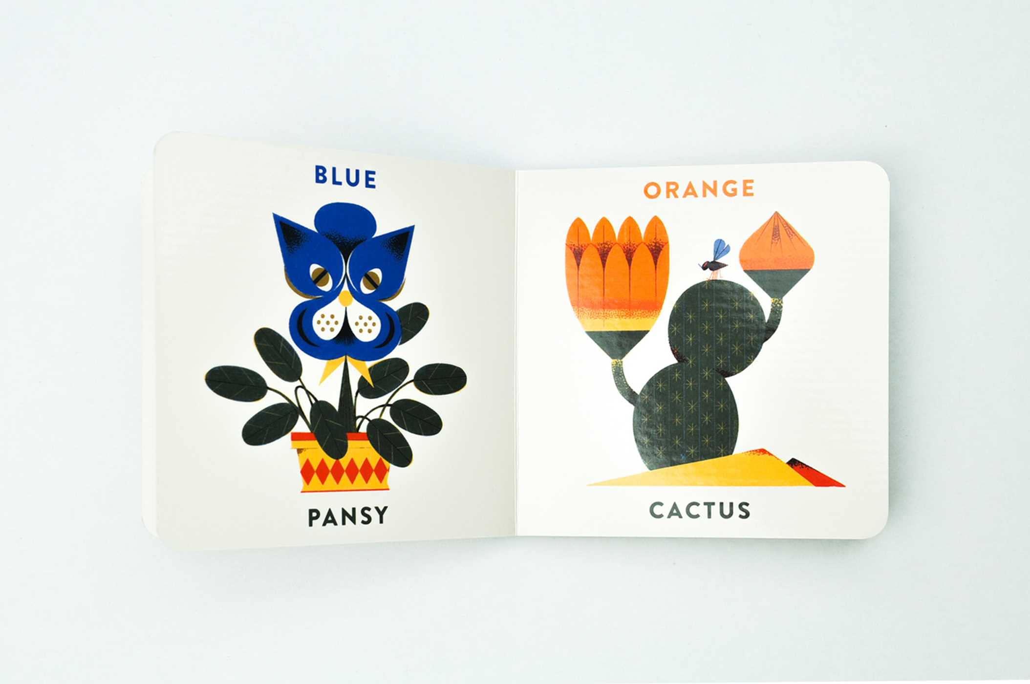 Colors in the Garden - DIGS