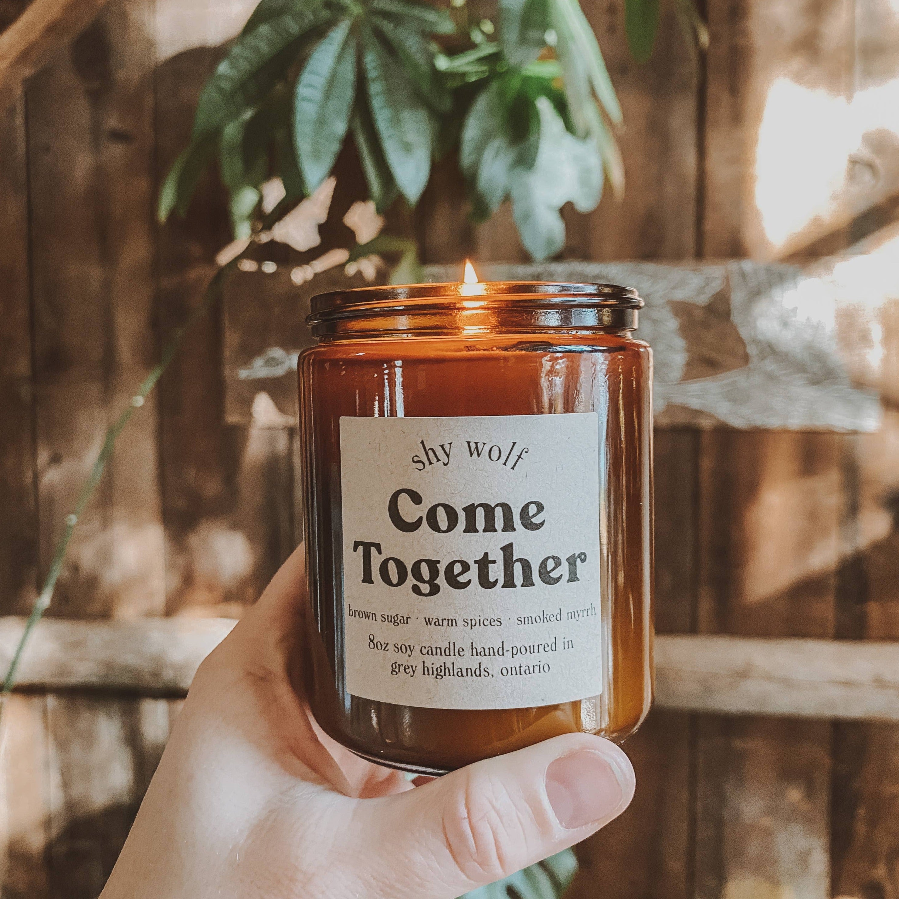 Come Together Soy Candle - DIGS