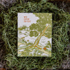 Comfort & Peace Sympathy Card - DIGS