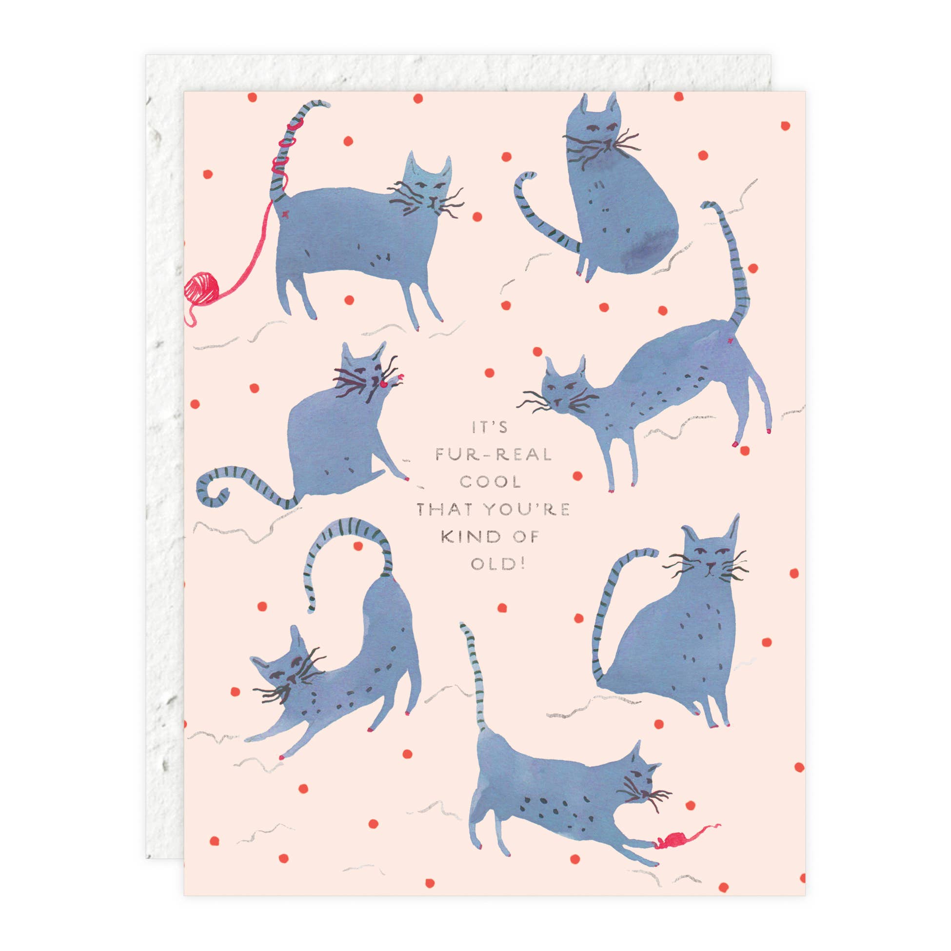 Cool Cats Old Birthday Card - DIGS