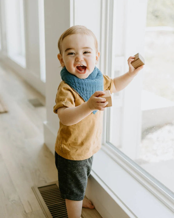 Cotton Muslin Reversible Bandana Bib: Lake - DIGS
