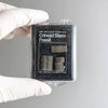 Crinoid Fossil - DIGS