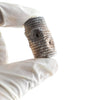 Crinoid Fossil - DIGS
