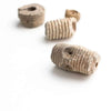 Crinoid Fossil - DIGS