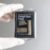 Crinoid Fossil - DIGS