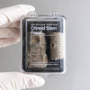 Crinoid Fossil - DIGS