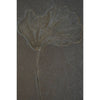 Crinoid Fossil - DIGS